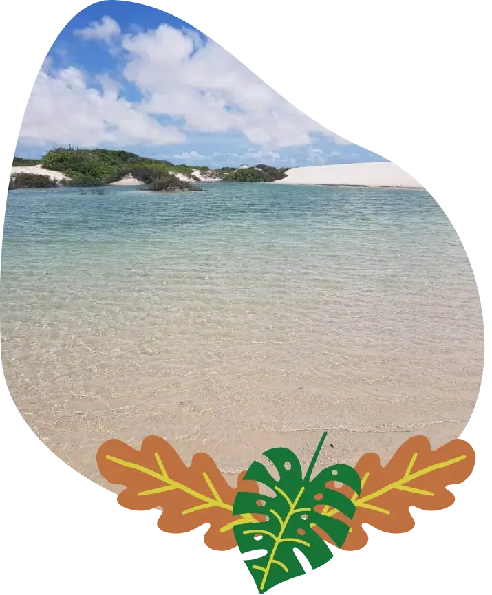 Image destaque